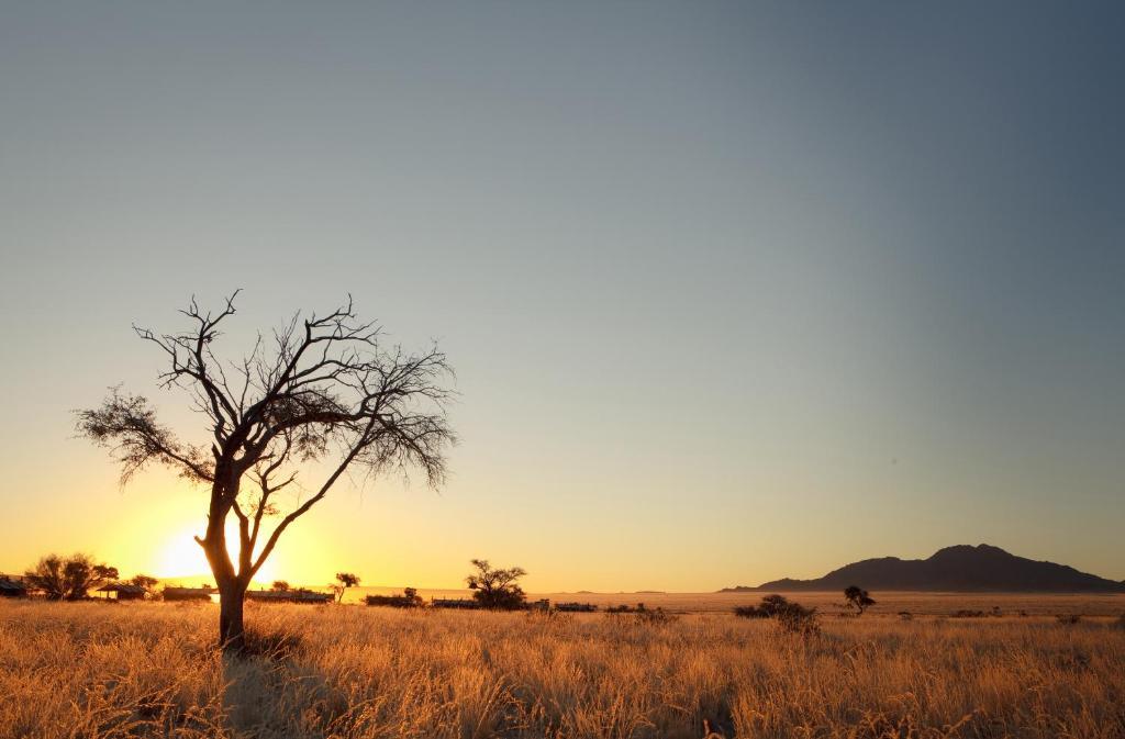 Desert Camp Sesriem Dış mekan fotoğraf